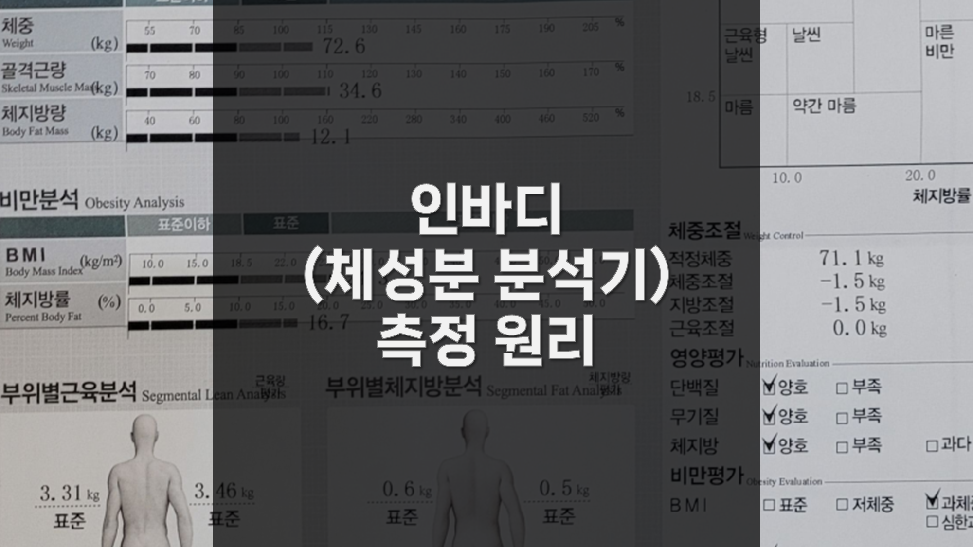 인바디(체성분 분석기) 측정 원리