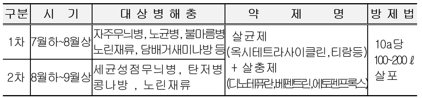 콩 재배 관리