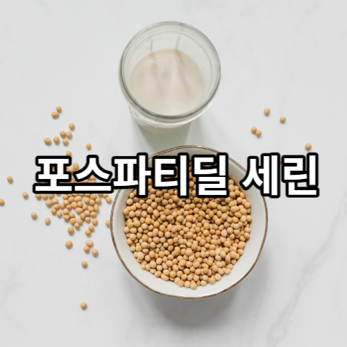 대두