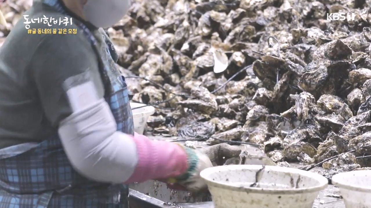 동네 한 바퀴.E243.231015p-NEXT.mp4_20231015_180315.585.jpg