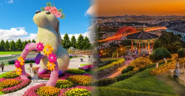 고양 가볼만한곳 베스트10 현지인 추천 필수코스_2