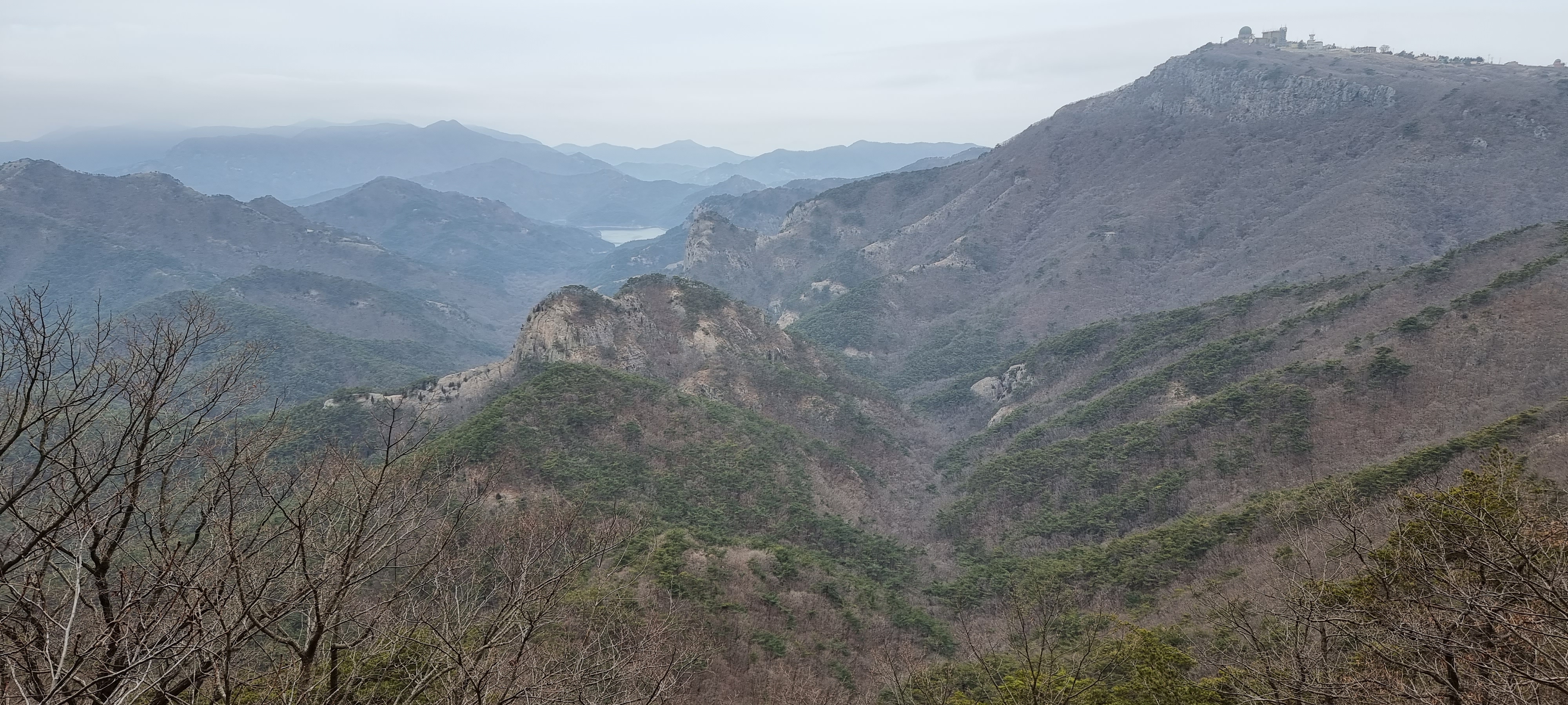변산바람꽃 24