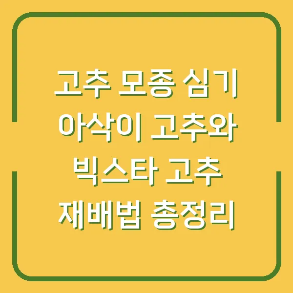 고추 모종 심기 아삭이 고추와 빅스타 고추 재배법 총정리