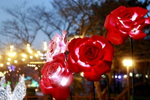 2024년 12월 경기도 축제 일정 안내 연말의 감동을 경기도에서! 빛과 추억의 12월 축제들