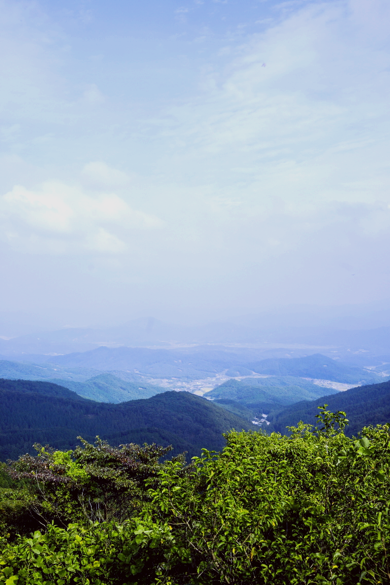 한국 명산 전남 장성 축령산 등산 mountain hiking