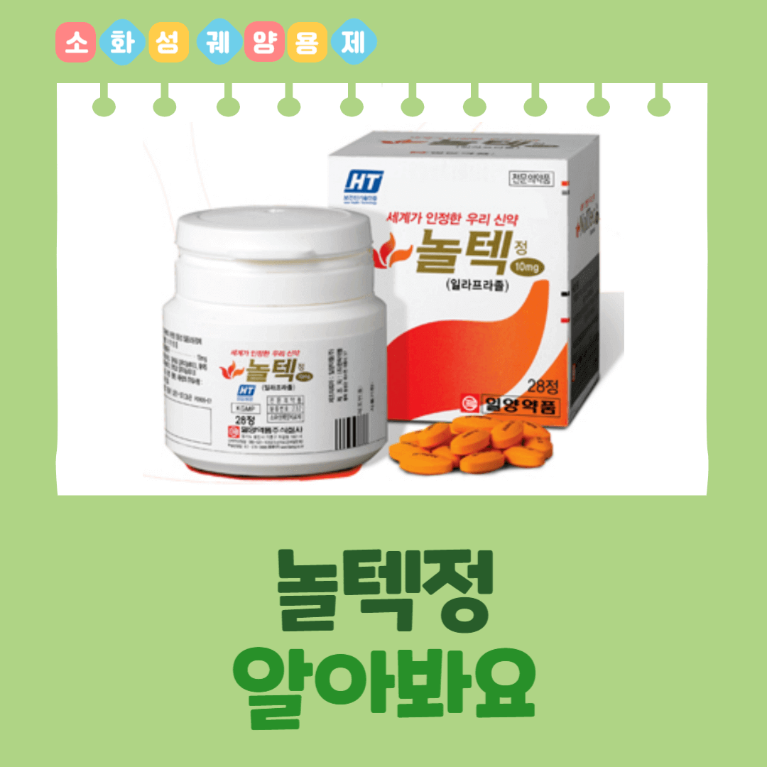 놀텍정