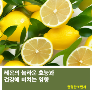 썸네일 사진
