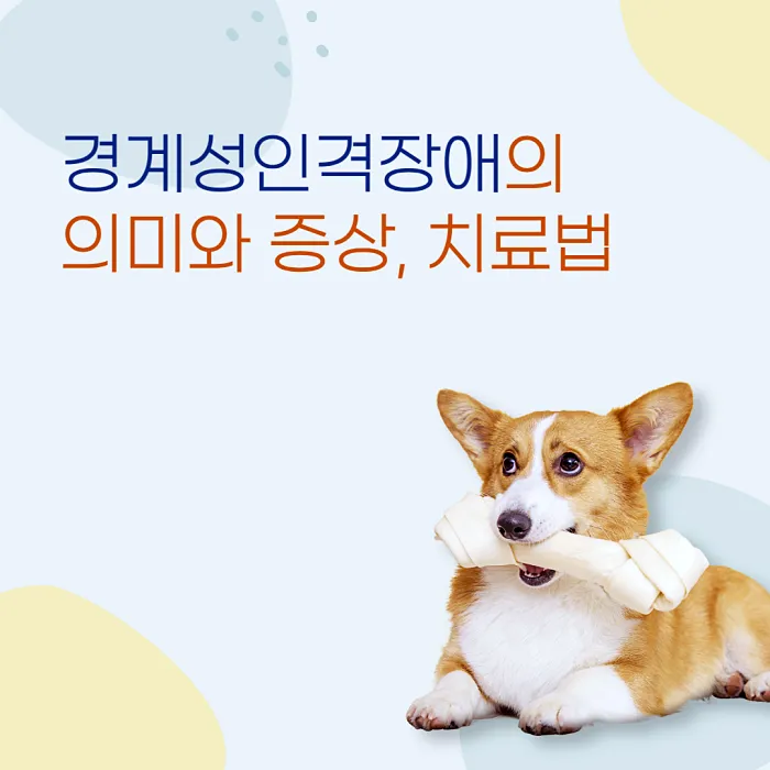  경계성인격장애의 의미와 증상, 치료법에 대해 간단히 알아봅시다.