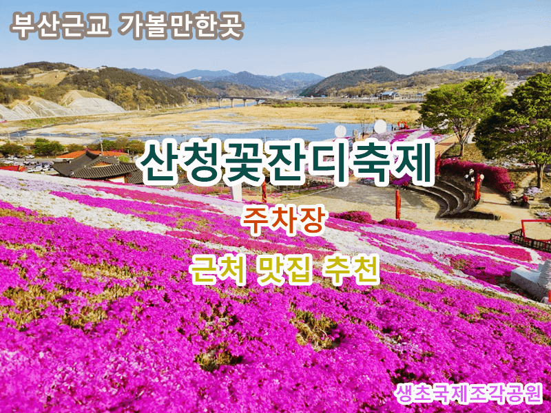 2024년-산청꽃잔디축제-부산근교-가볼만한곳