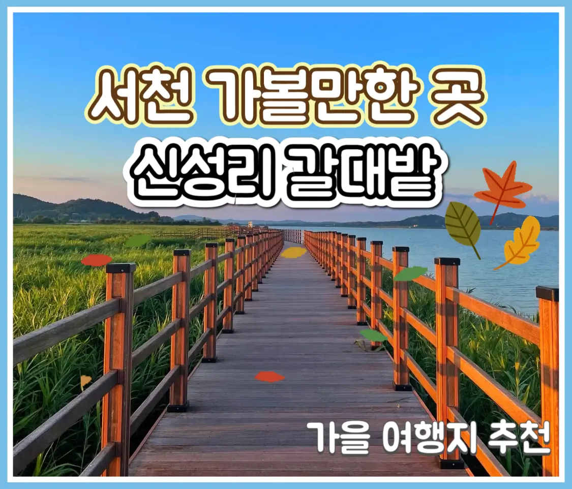  신성리갈대밭 JSA공동경비구역 촬영지 충남 서천 가볼만한곳