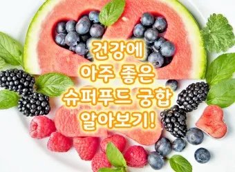 슈퍼푸드 종류 효능_17