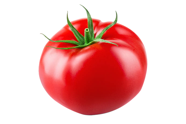 토마토효능