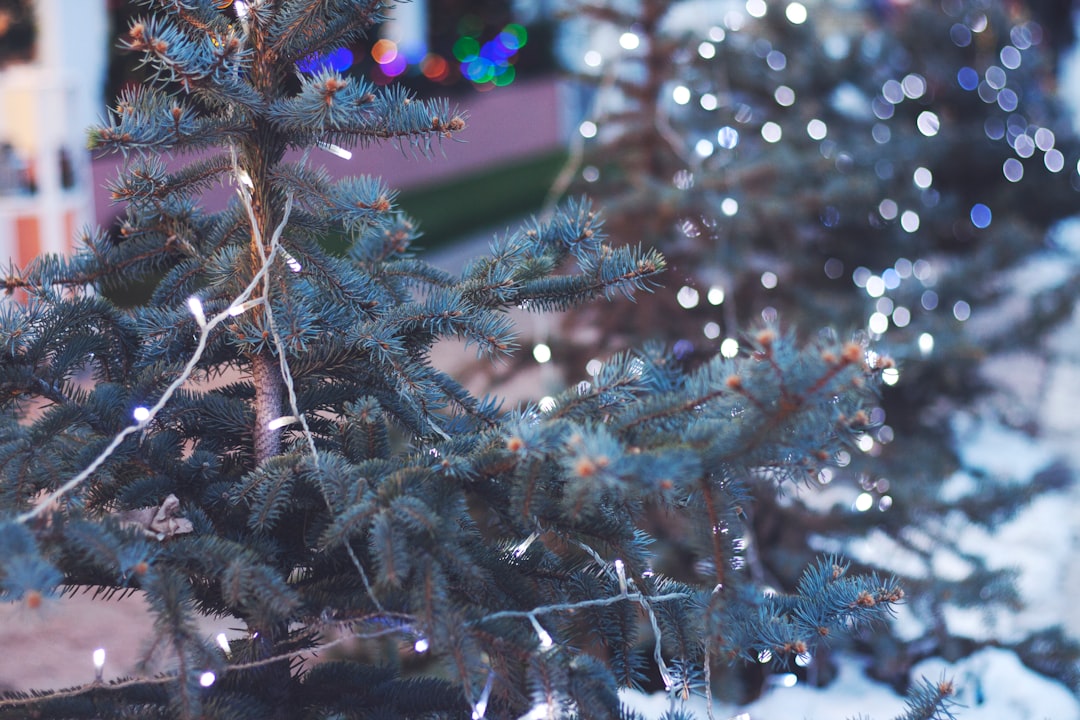 Christmas tree