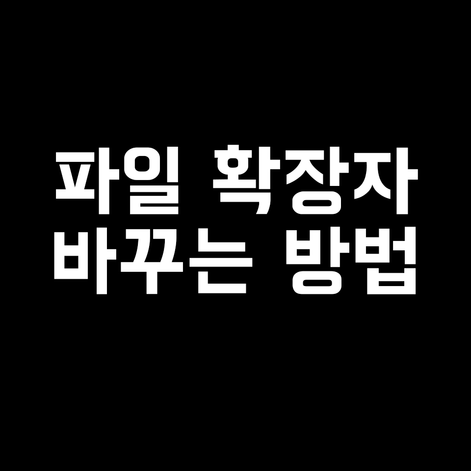  [Window] 파일 확장자 바꾸는 방법