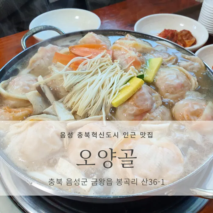  [음성군 금왕읍/충북혁신도시 인근 맛집] 오양골_수제 손만두 전골 맛집