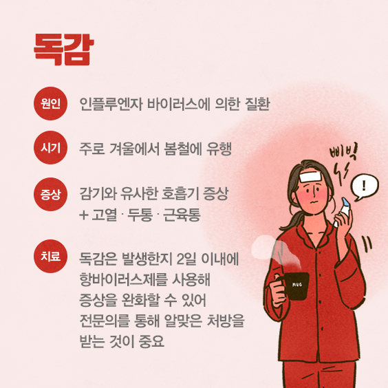 독감 무료 접종