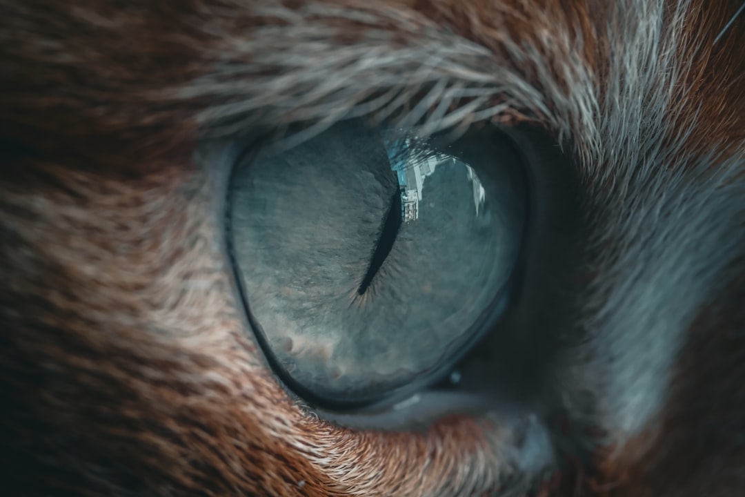 Cataract
