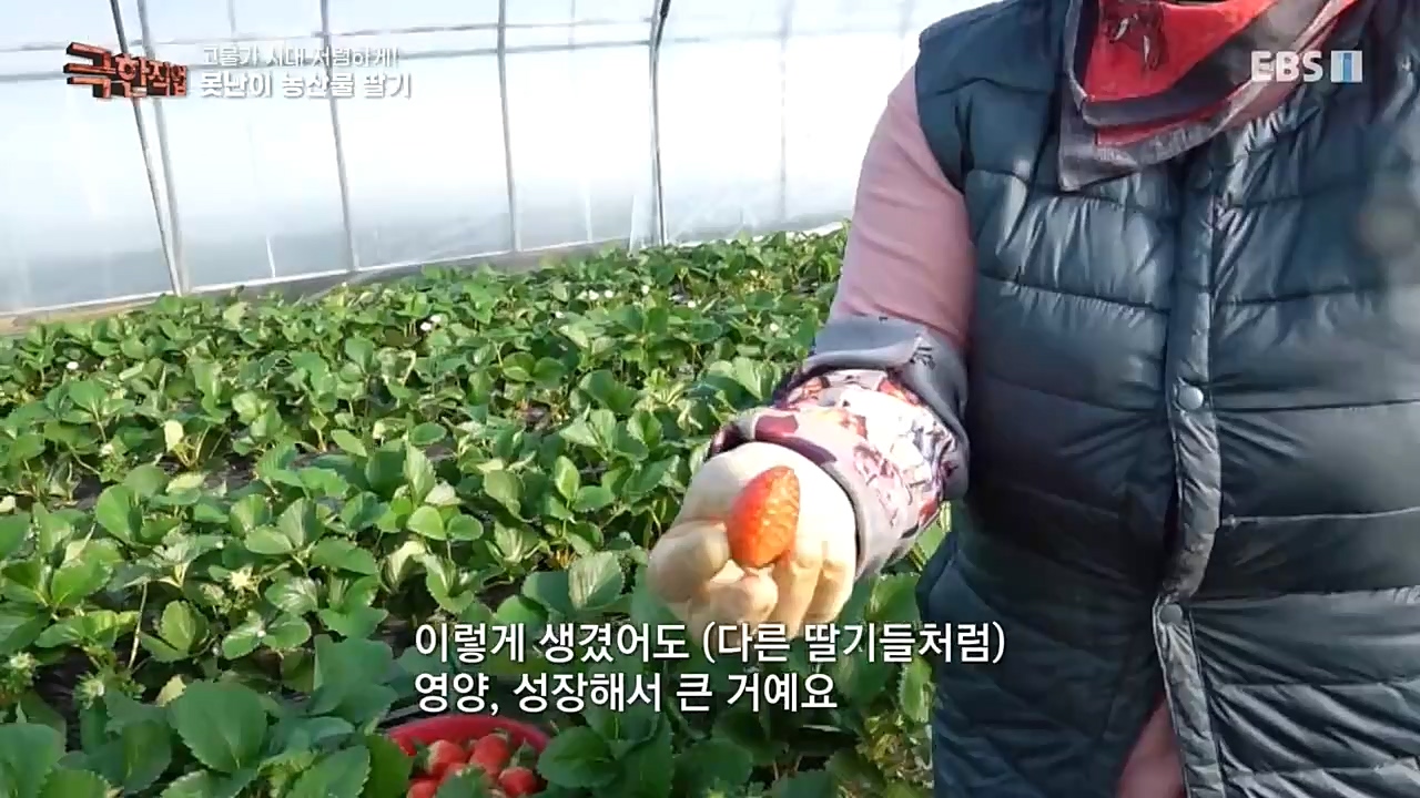 극한직업.E1046.221232p-NEXT.mp4_20230103_200851.617.jpg