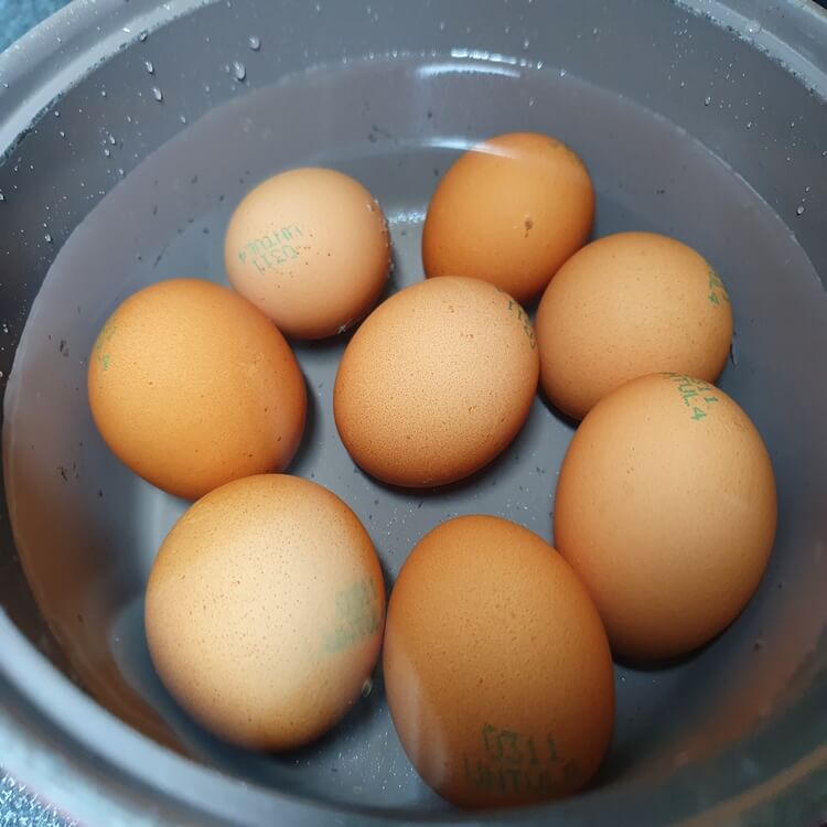 계란-세척