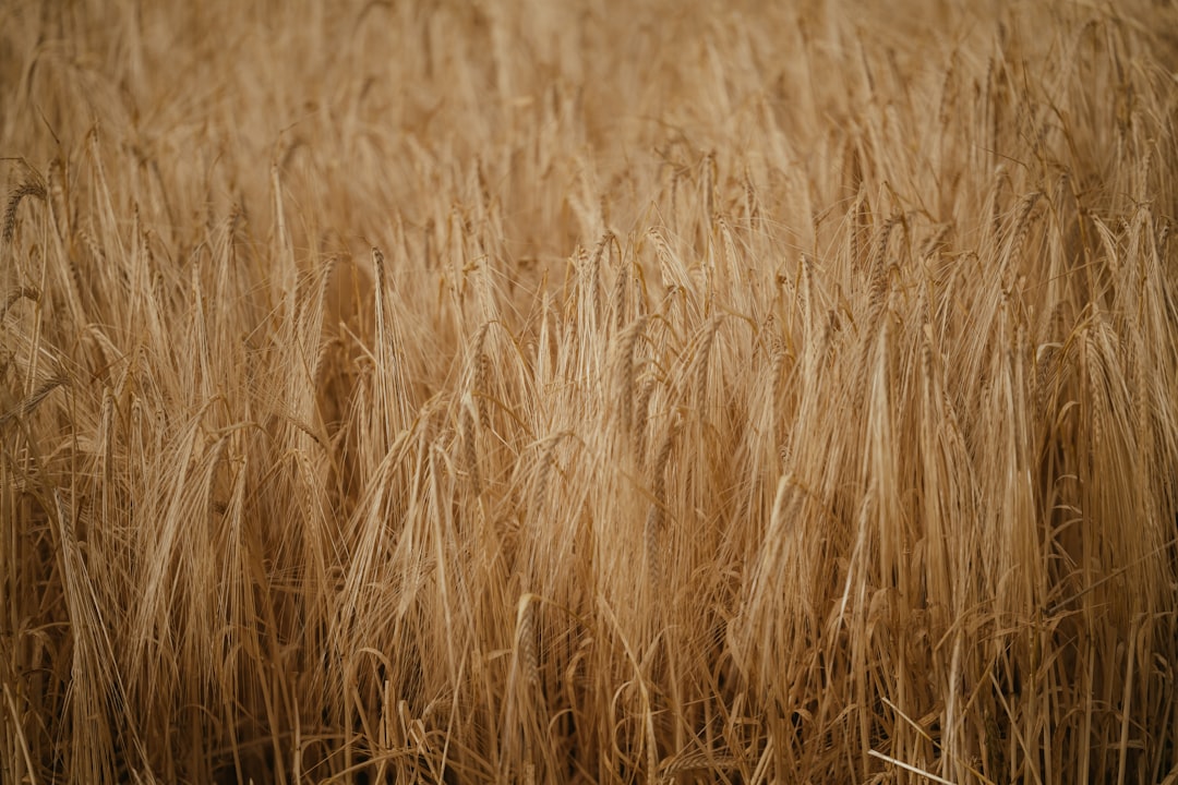 Harvesting