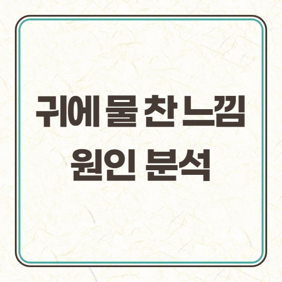  귀에 물찬 느낌 어지러움증 원인
