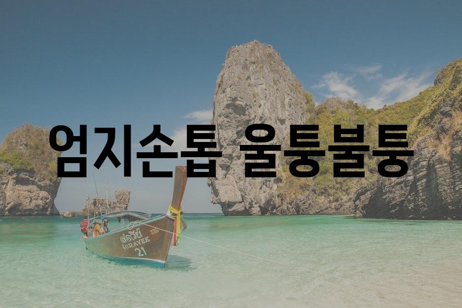 샘플 (80)
