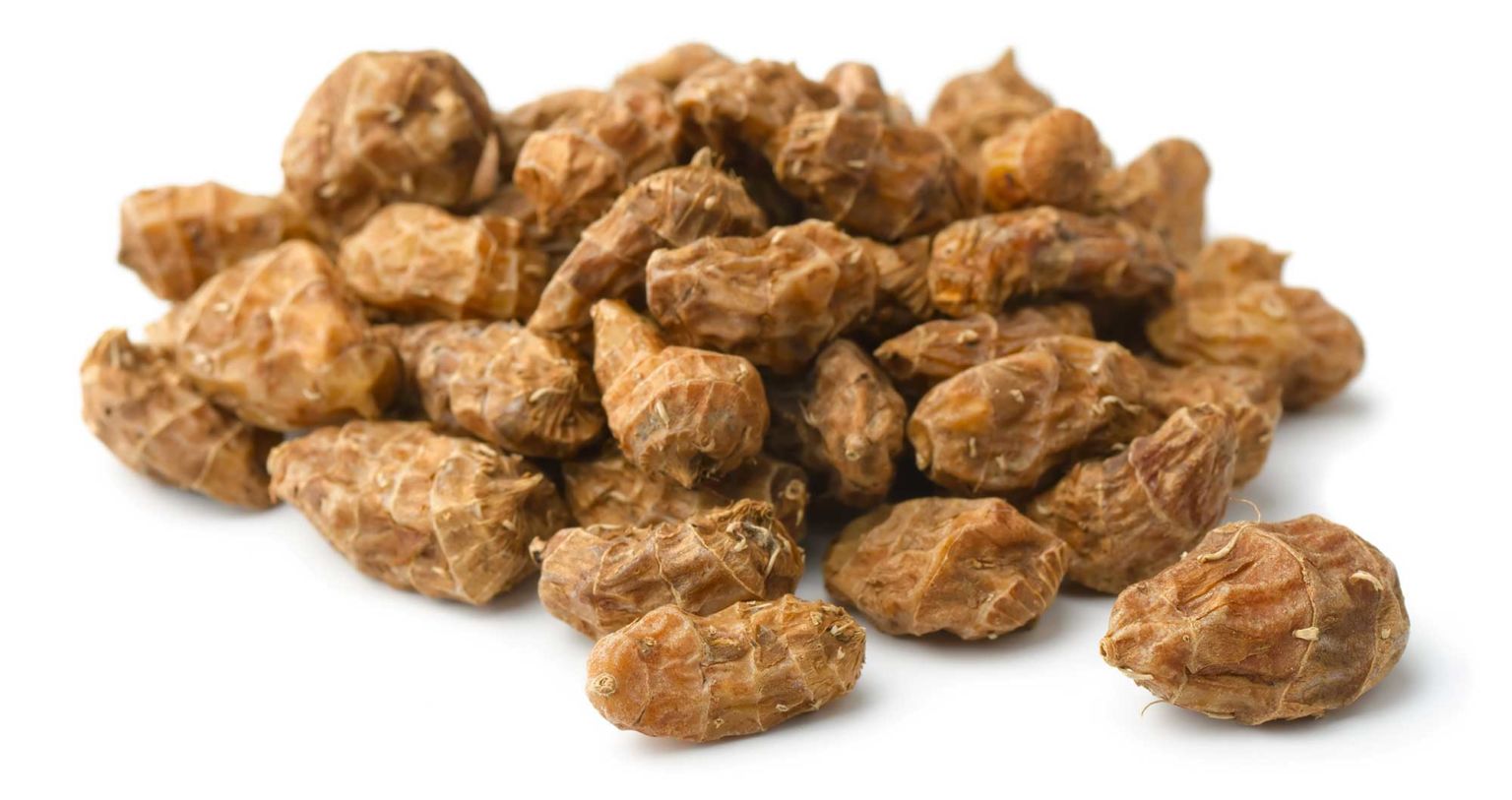  기름골 Tiger Nut (타이거너트) 에 대해서 알아볼게요.