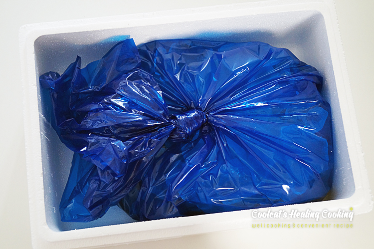 갑오징어숙회, 갑오징어손질법과 24