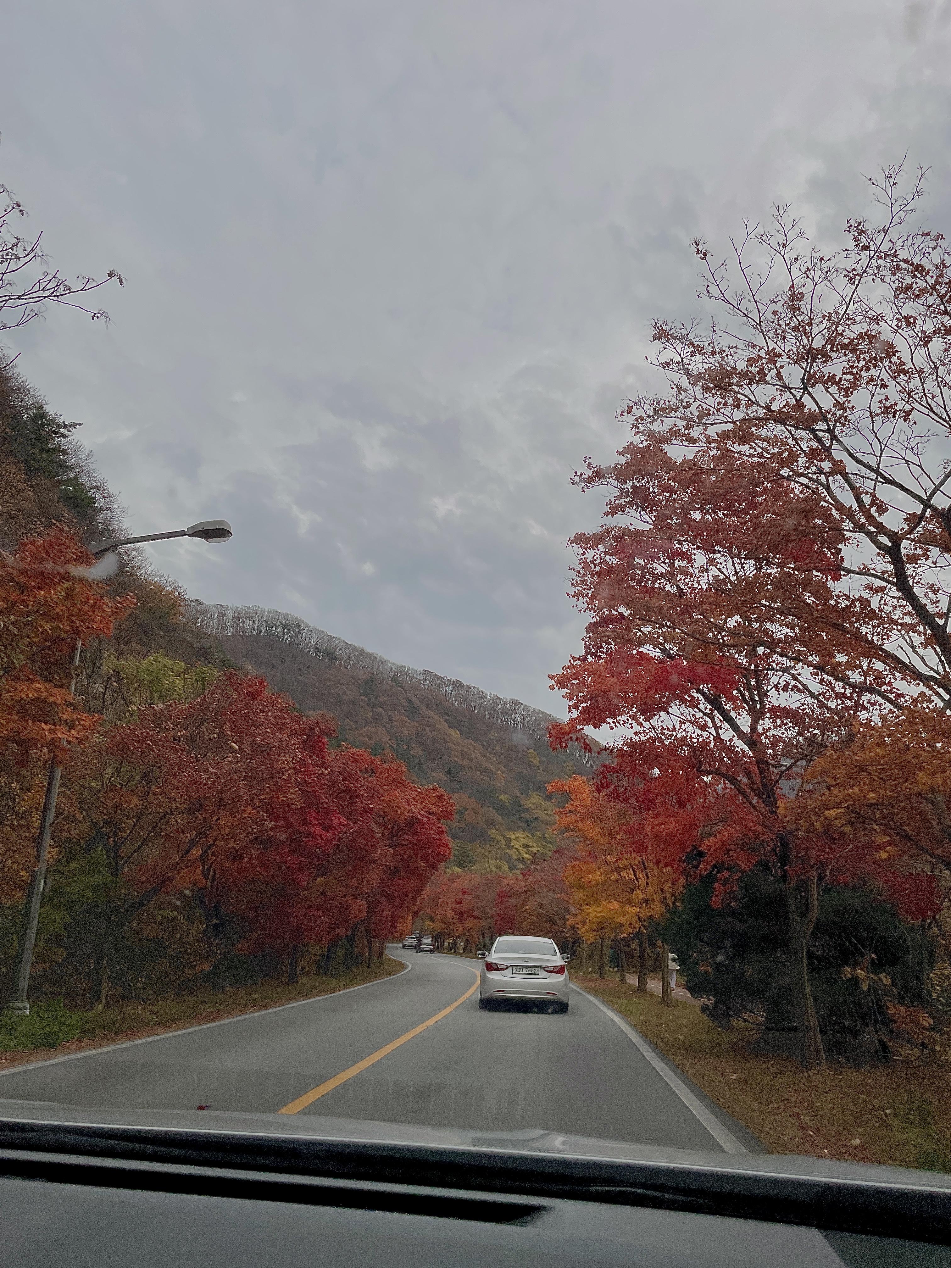 내장산 단풍