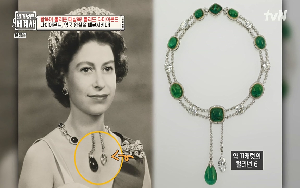 벌거벗은 세계사.E62.220831p-NEXT.mp4_20220905_200145.381.jpg