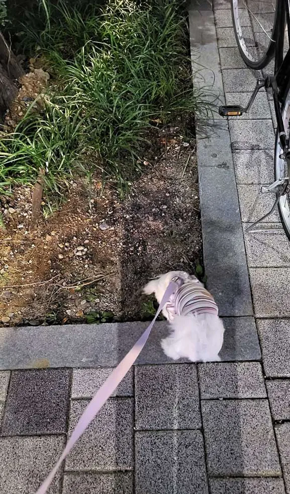 우장산공원
