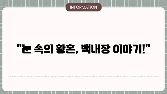 백내장 눈: 