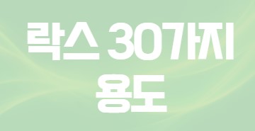 락스 30가지 용도