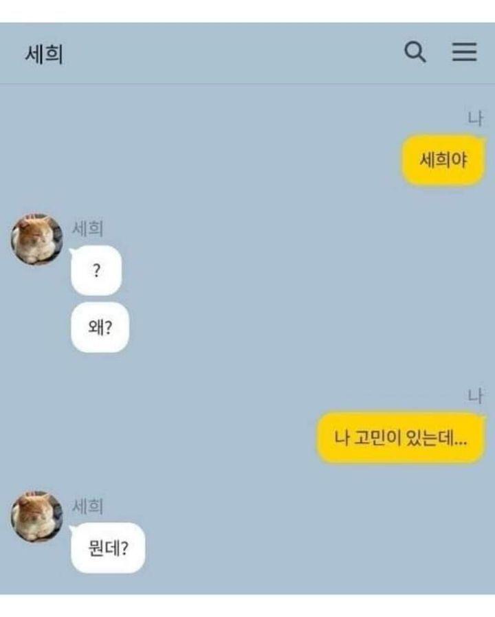   뚜뚜월드
