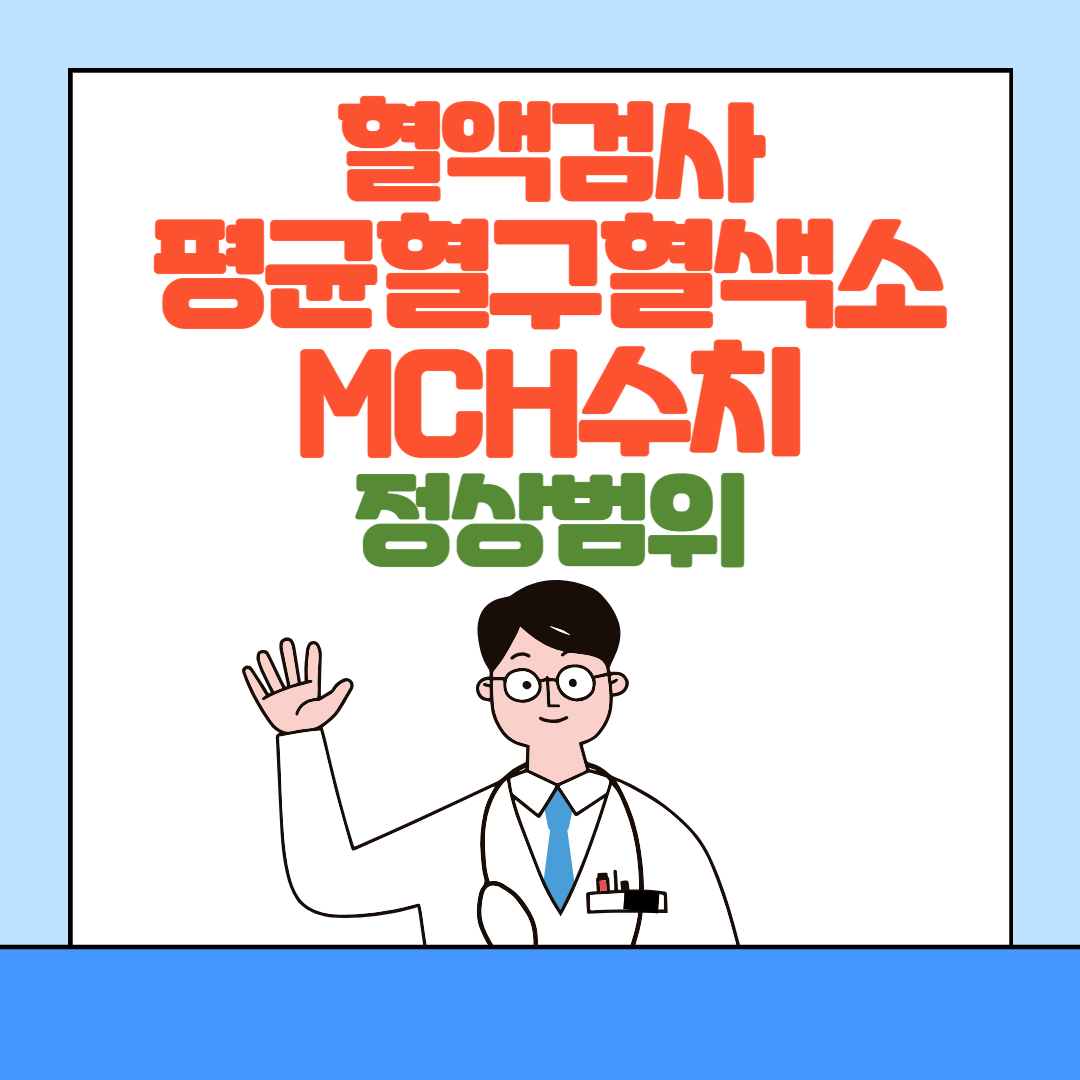 평균혈구혈색소