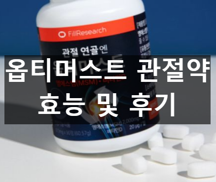 옵티머스트 관절약