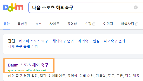 다음스포츠해외축구