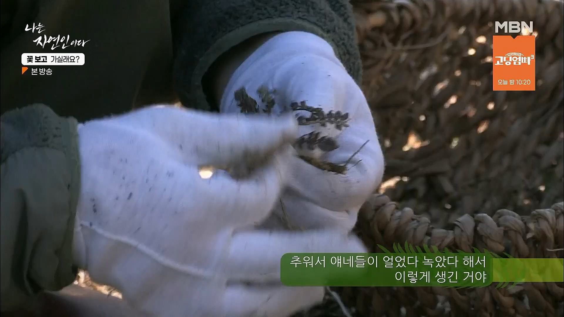 나는 자연인이다.E545.230315p.H264-F1RST.mp4_20230316_212113.927.jpg