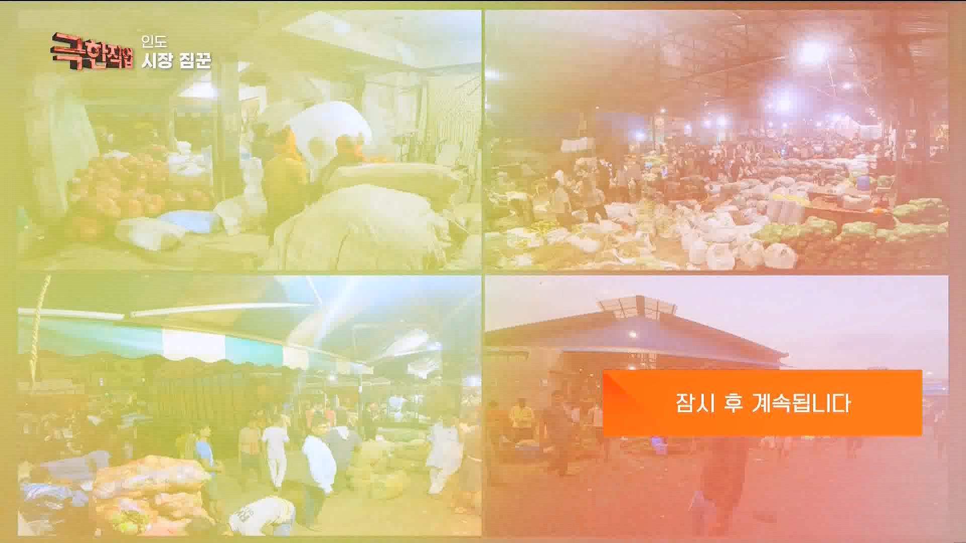 [극한 직업] 인도의 시장 짐꾼과 사원 요리사 230902.mp4_20230909_172854.891.jpg