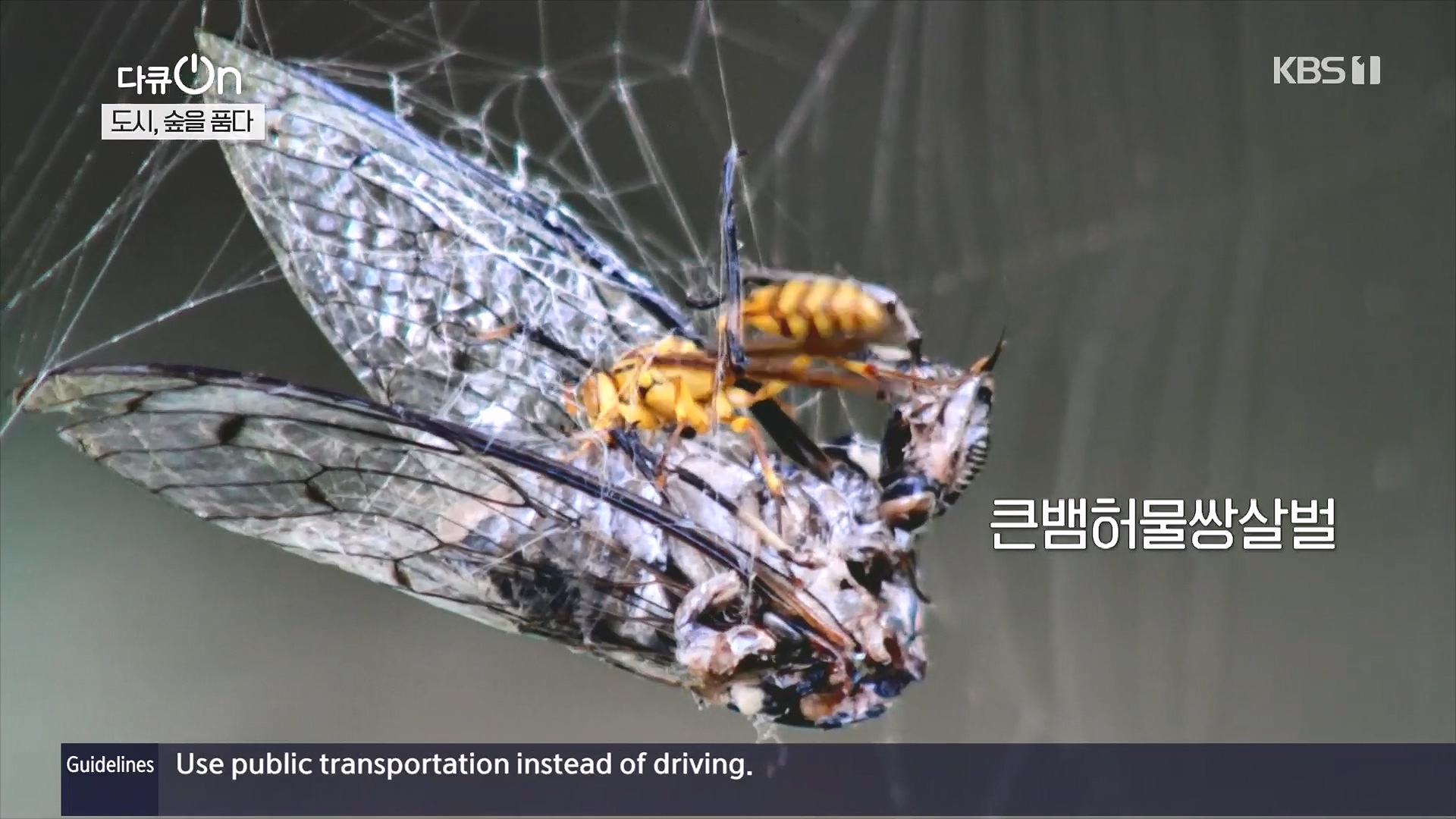 다큐 On.E232.231216p.H264-F1RST.mp4_20231220_204705.804.jpg