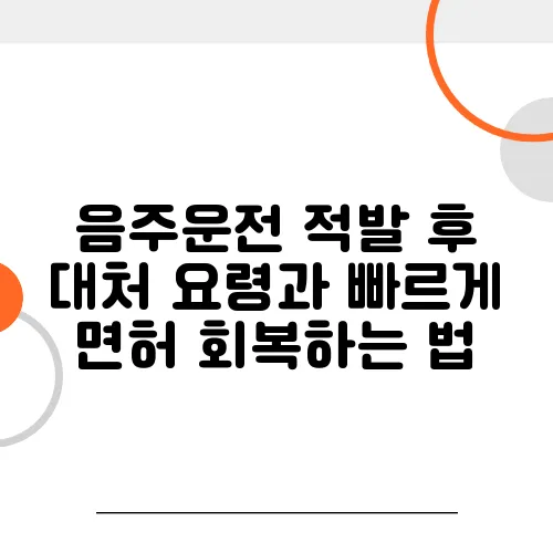 음주운전 적발 후 대처 요령과 빠르게 면허 회복하는 법