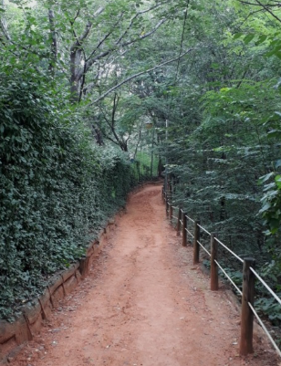 서울 동대문구 배봉산 황토길 사진