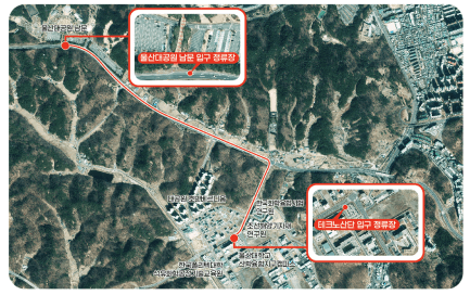 울산대공원 장미축제