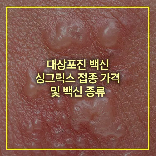 대상포진 백신 싱그릭스 접종 가격 썸네일