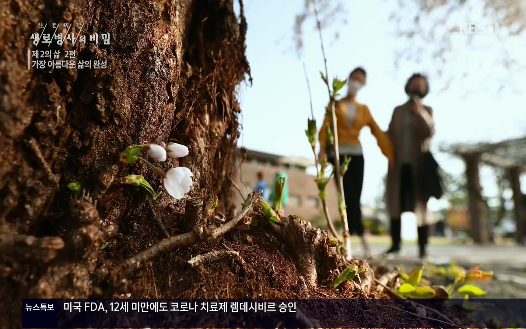 생로병사의 비밀.E820.220511p.H264-F1RST.mp4_20220512_192544.492.jpg