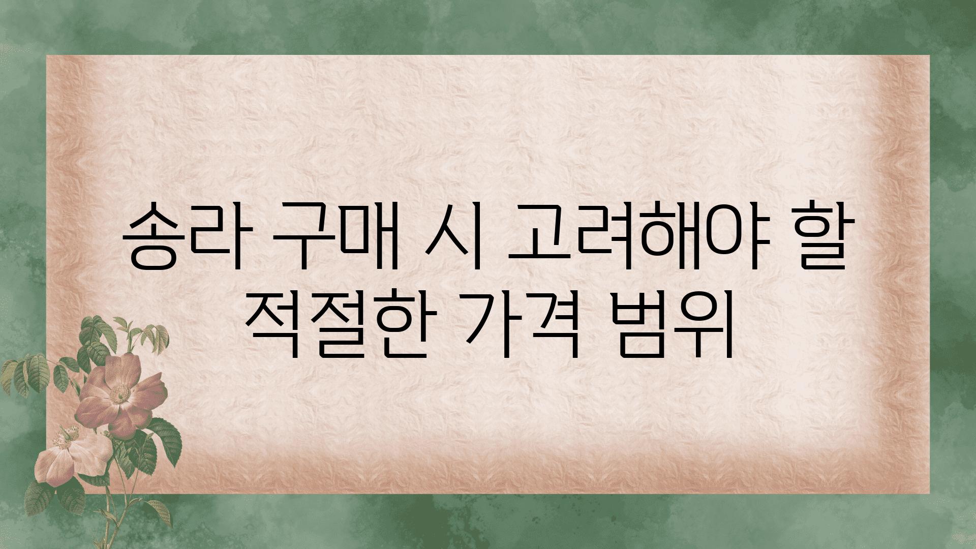 송라 구매 시 고려해야 할 적절한 가격 범위