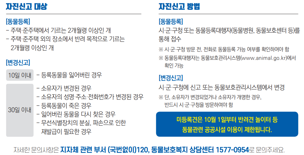 동물보호관리시스템 반려견 등록 자진 신고 동물보호관리시스템 반려견 등록 자진 신고