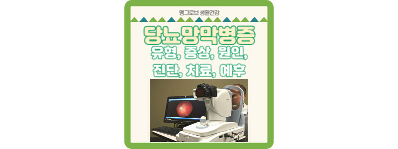 당뇨망막병증 썸네일