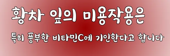  황차 잎의 미용작용은 특히 풍부한 비타민C에 기인한다고 합니다