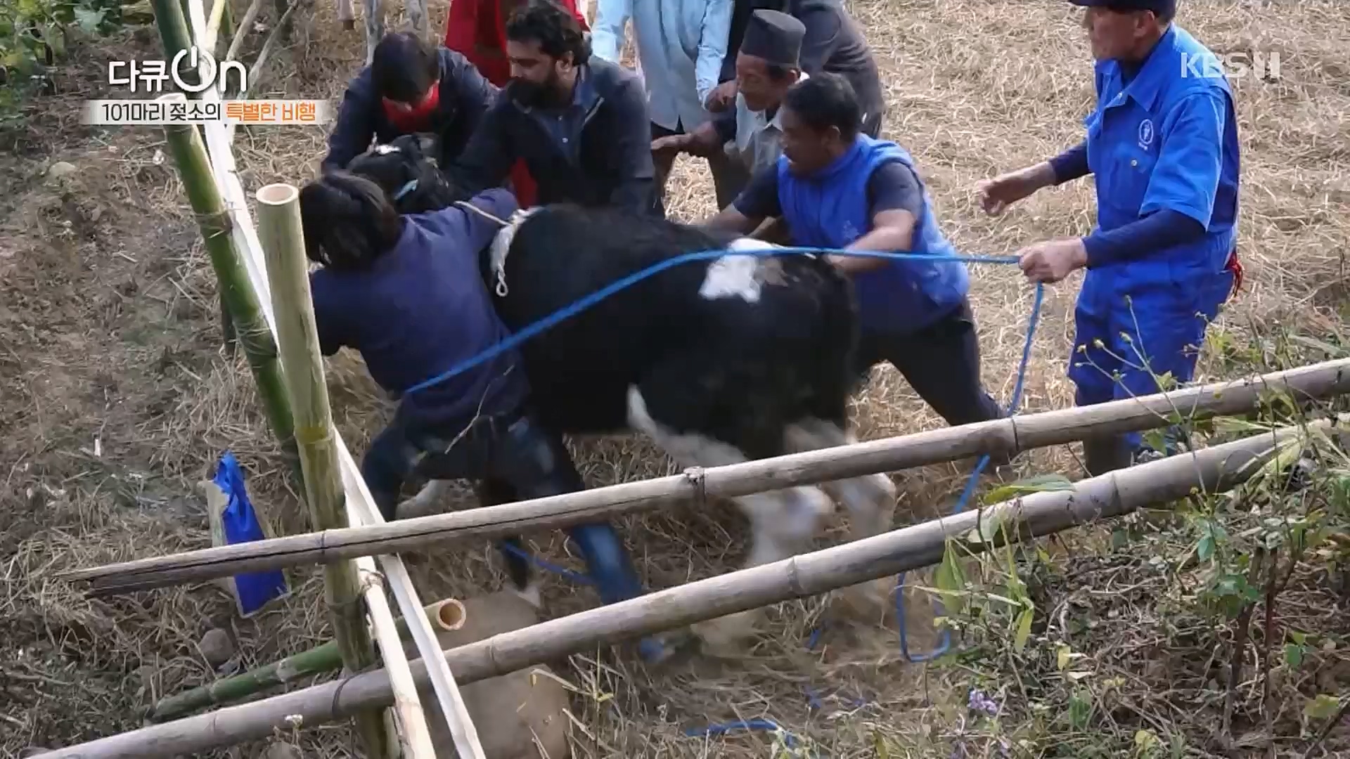 다큐 On.E184.230203p.H264-F1RST.mp4_20230211_175654.992.jpg